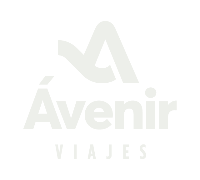 Avenir Viajes